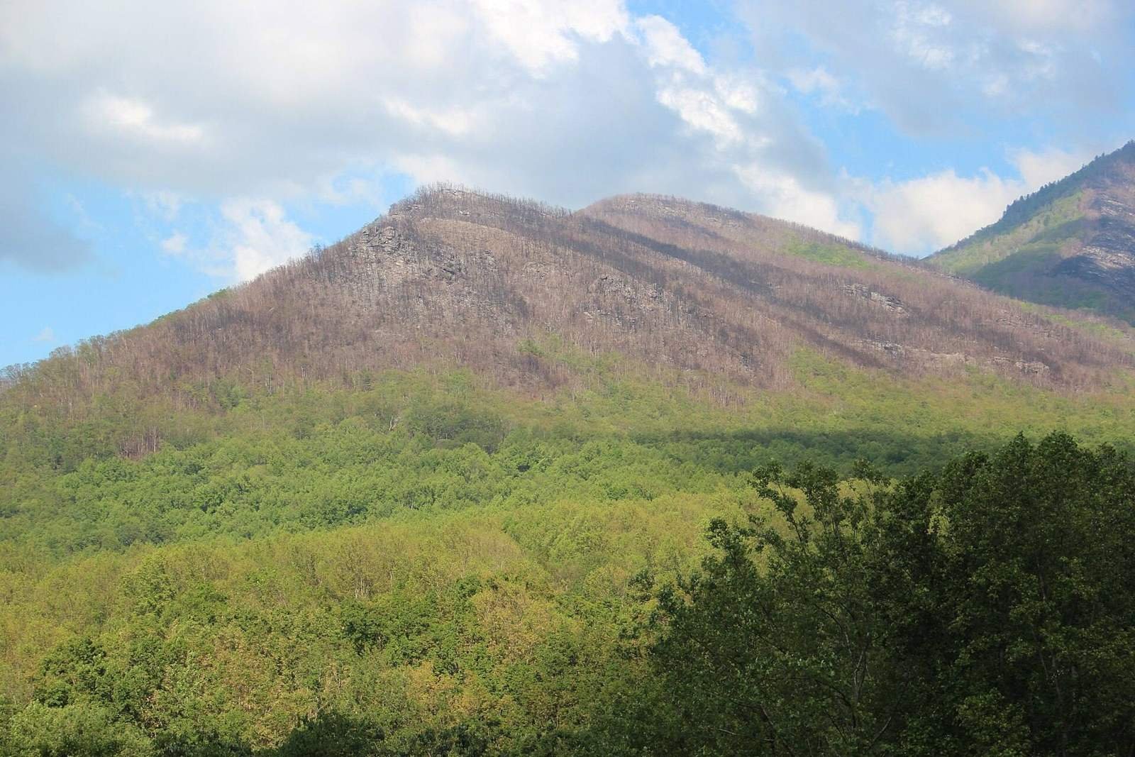 Bullhead Mountain, with scars from the 2016 Smokies wildfires