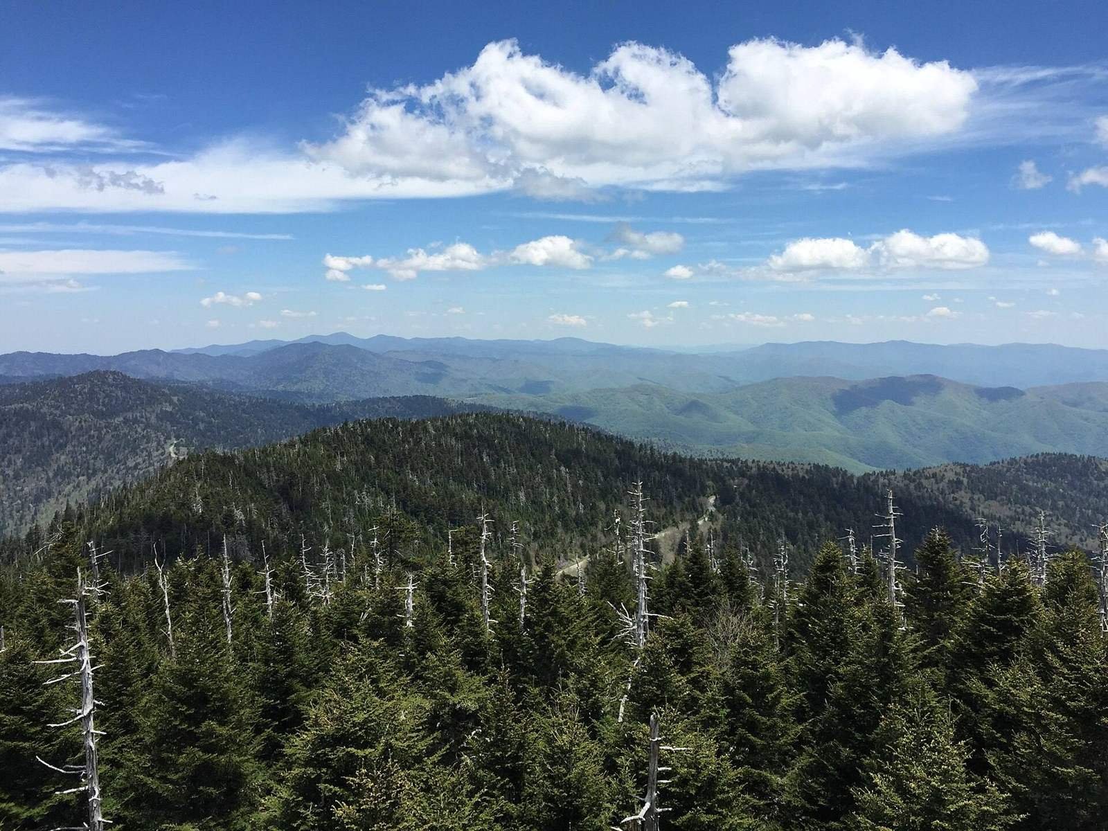 View from Clingmans Dome, Great Smoky Mountains