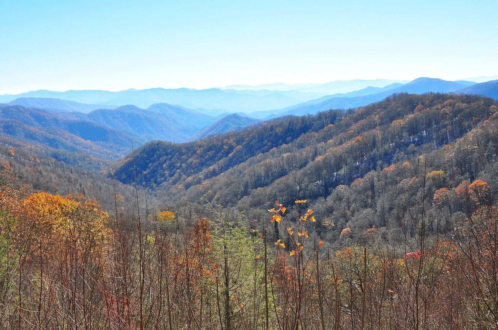 Newfound Gap Road, Thomas Ridge Overlook